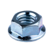 Orzech 5324091-48 Orzech 5324091-48