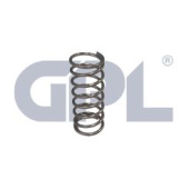 SPRĘŻYNA SPRĘŻYNA