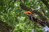 Spodnie ochronne Husqvarna, Technical Extreme Arborist Spodnie ochronne Husqvarna, Technical Extreme Arborist