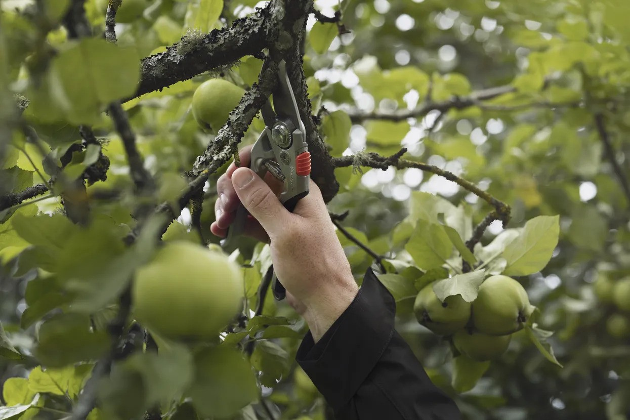 Sekator duży Husqvarna