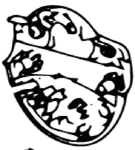 Skrzynka Rozdzielcza Dolna (Euro 5746268-01