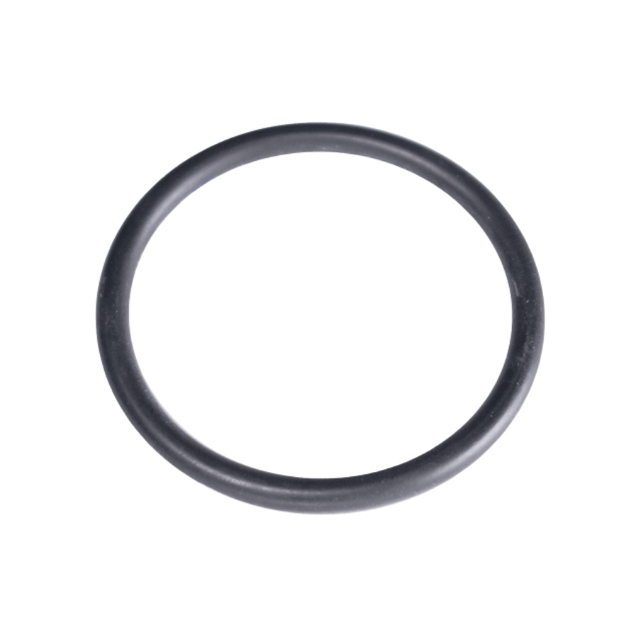 O-Ring 5784703-01