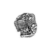 Cylinder 40Cc Cylinder, Platynowy 5838382-02 Cylinder 40Cc Cylinder, Platynowy 5838382-02