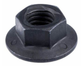 Orzech 5856913-01 Orzech 5856913-01