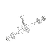 Zestaw wału korbowego z łożyskami Zestaw wału korbowego z łożyskami