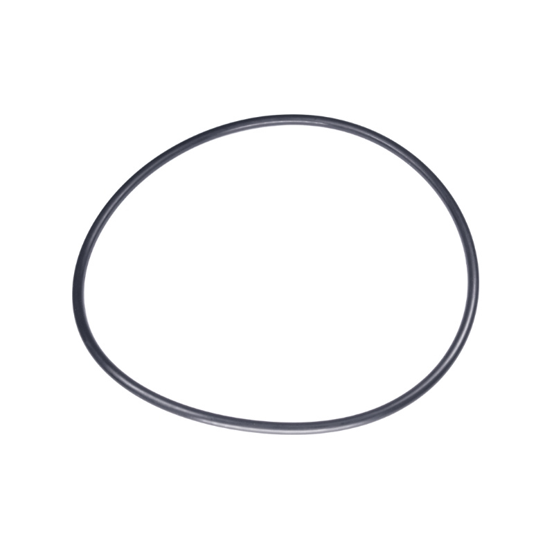 O-Ring 160X5,5 5885243-01