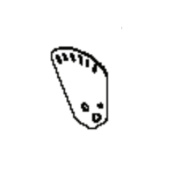 Tabliczka Indeksowa 46 / 51 Cm Ms-431 5893528-02 Tabliczka Indeksowa 46 / 51 Cm Ms-431 5893528-02
