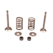 Zestaw zaworów 5993490-42 Zestaw zaworów 5993490-42