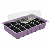 Szklarnia  Szklarnia