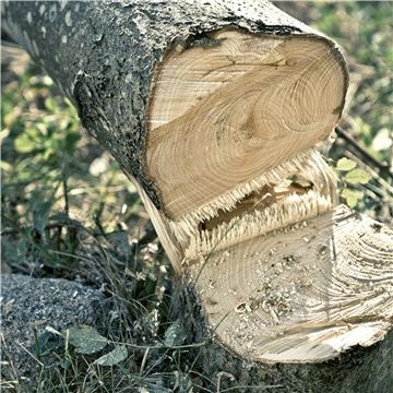 Husqvarna 530iP4 Podkrzesywarki