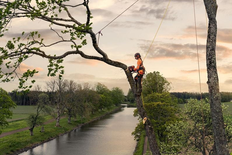 Husqvarna T540 XP® Mark III Pilarki