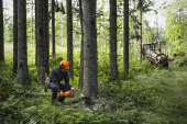 Husqvarna 450X Pilarki Husqvarna 450X Pilarki