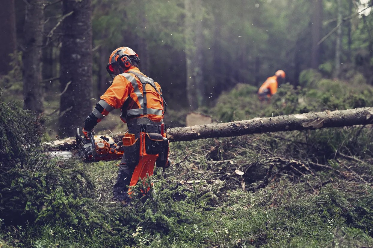 Husqvarna 564 XP® G Fuel Inject