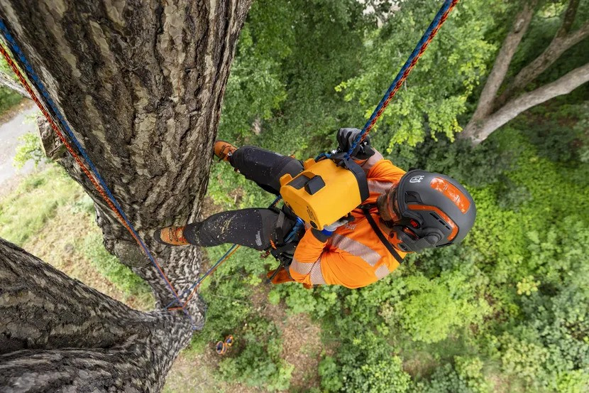 Power Ascender Husqvarna x Skylotec