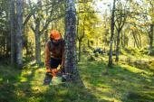 Pilarka akumulatorowa Husqvarna 440i z akumulatorem i ładowarką Pilarka akumulatorowa Husqvarna 440i z akumulatorem i ładowarką